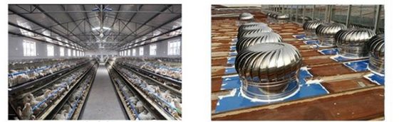 Monture murale Ventilateur à tourbine à vent en acier inoxydable industriel 304