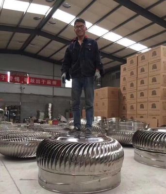 Ventilateur d'échappement de turbine de toit à propulsion éolienne personnalisé pour une efficacité optimale