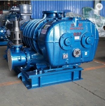 Souffleur de racines à haute pression NSK roulement et soupape rotative en fonte pour une efficacité maximale