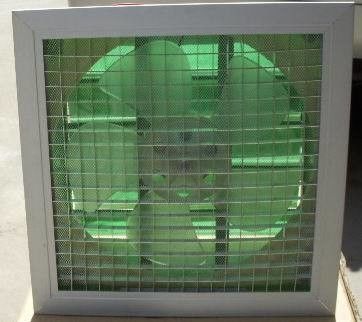 900-1350r/min 6 8 10 12 pouces ventilateur d'échappement ventilateur pour fenêtre murale cuisine salle de bains